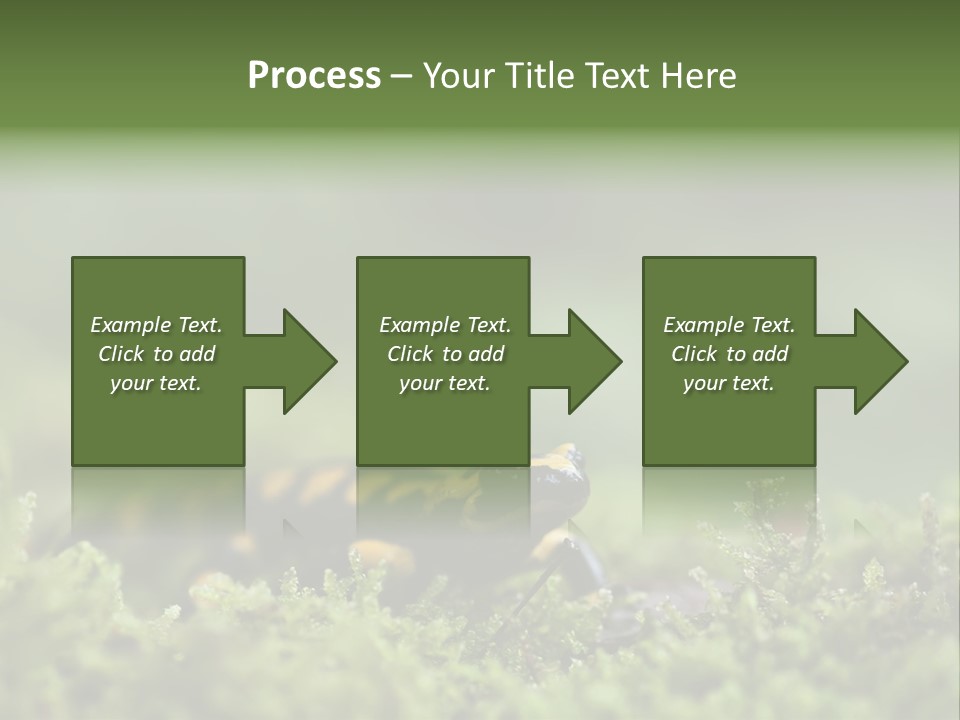 Green Grass Nature Foam PowerPoint Template