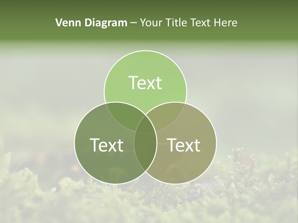 Green Grass Nature Foam PowerPoint Template