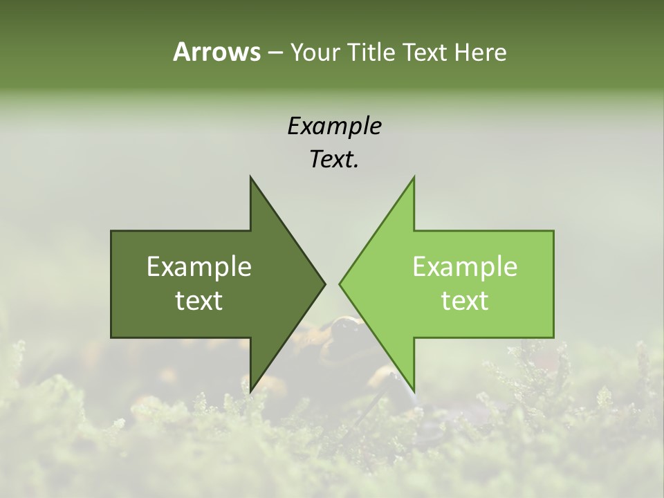Green Grass Nature Foam PowerPoint Template