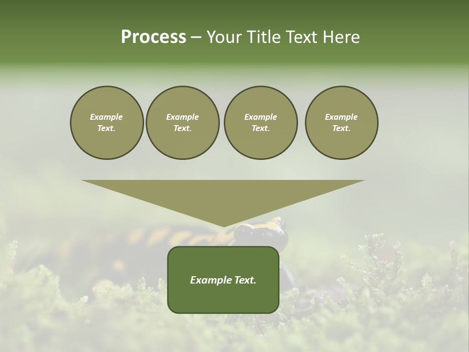 Green Grass Nature Foam PowerPoint Template