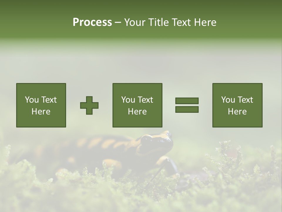 Green Grass Nature Foam PowerPoint Template