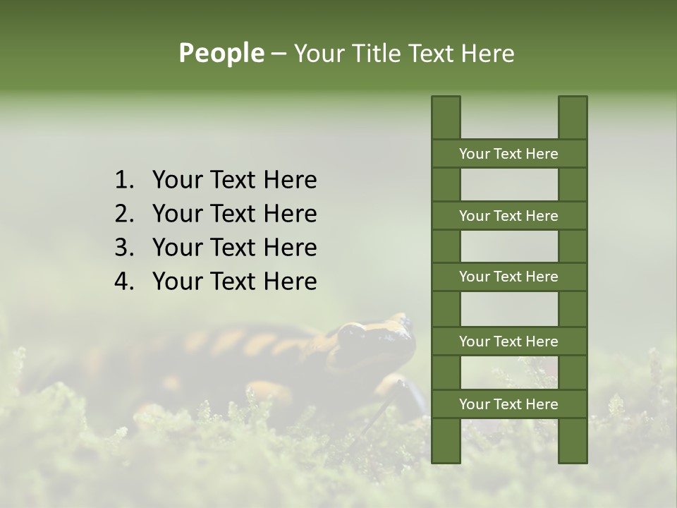 Green Grass Nature Foam PowerPoint Template
