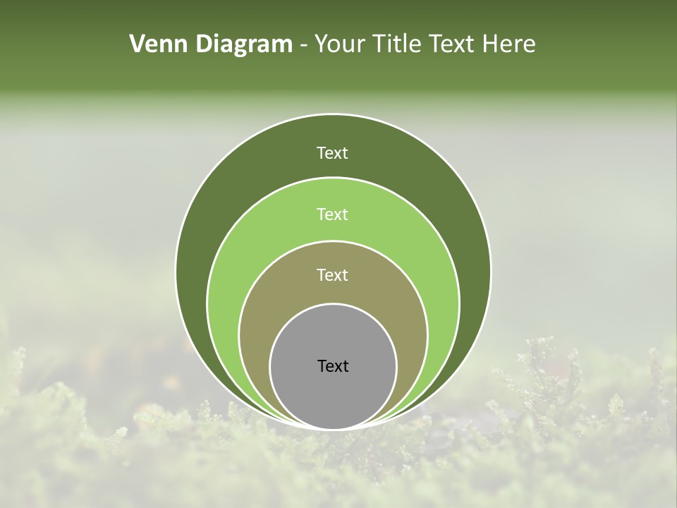 Green Grass Nature Foam PowerPoint Template