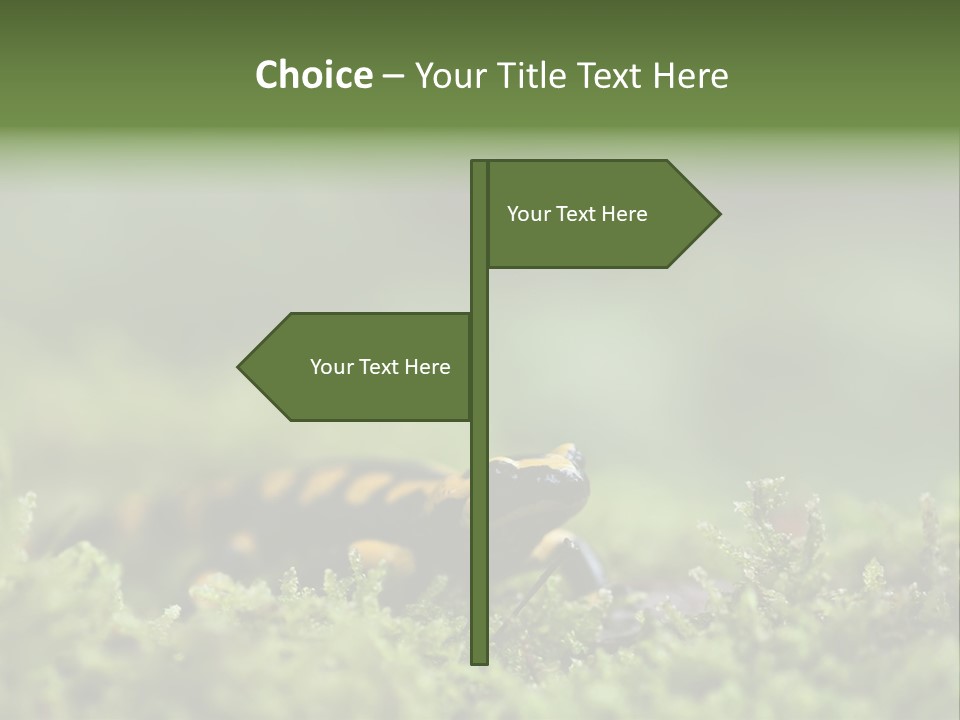 Green Grass Nature Foam PowerPoint Template