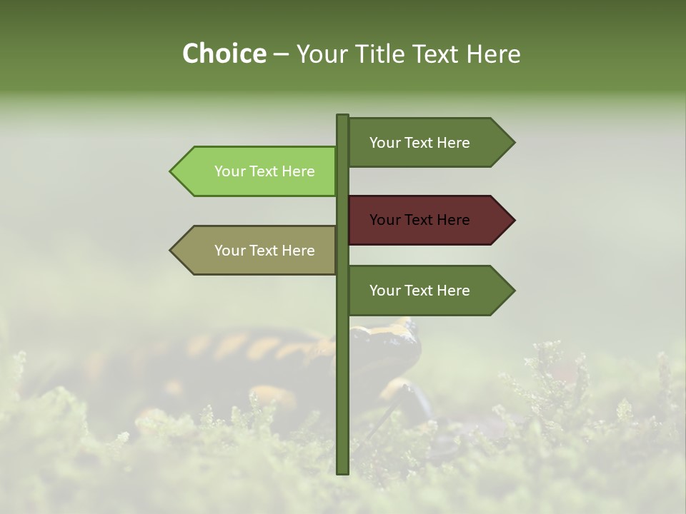 Green Grass Nature Foam PowerPoint Template