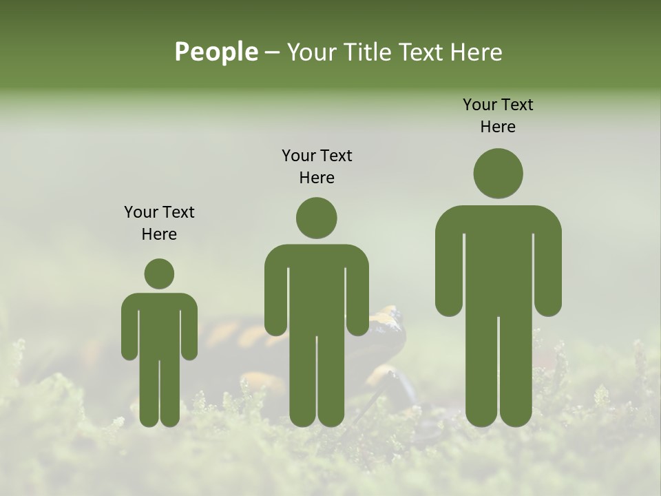 Green Grass Nature Foam PowerPoint Template