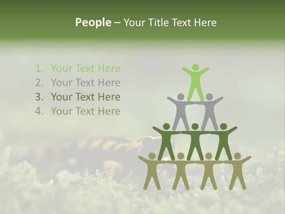 Green Grass Nature Foam PowerPoint Template