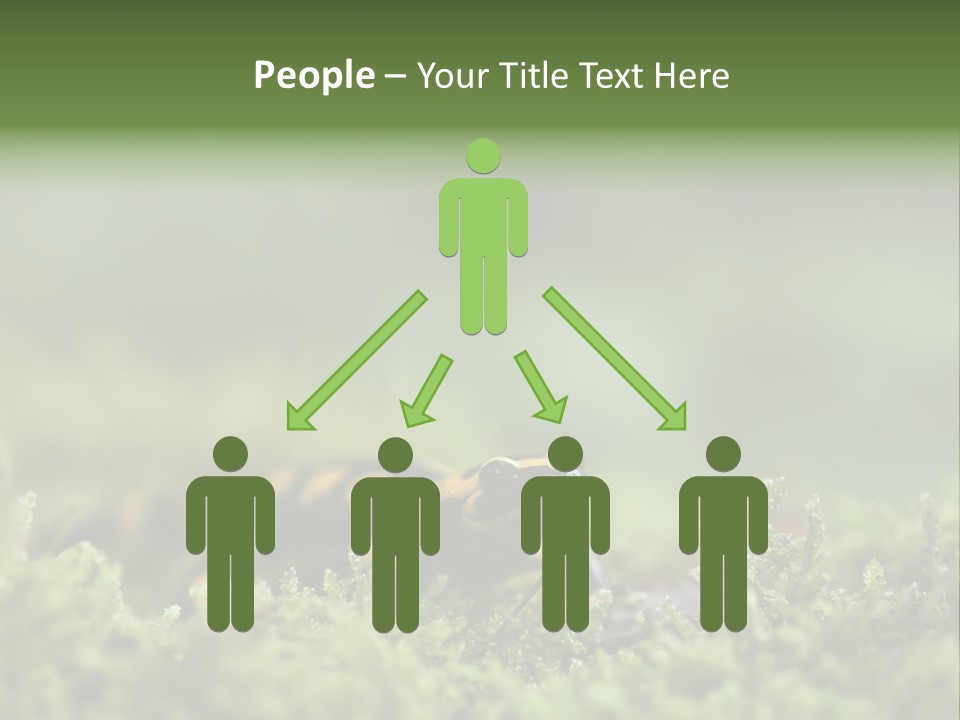Green Grass Nature Foam PowerPoint Template