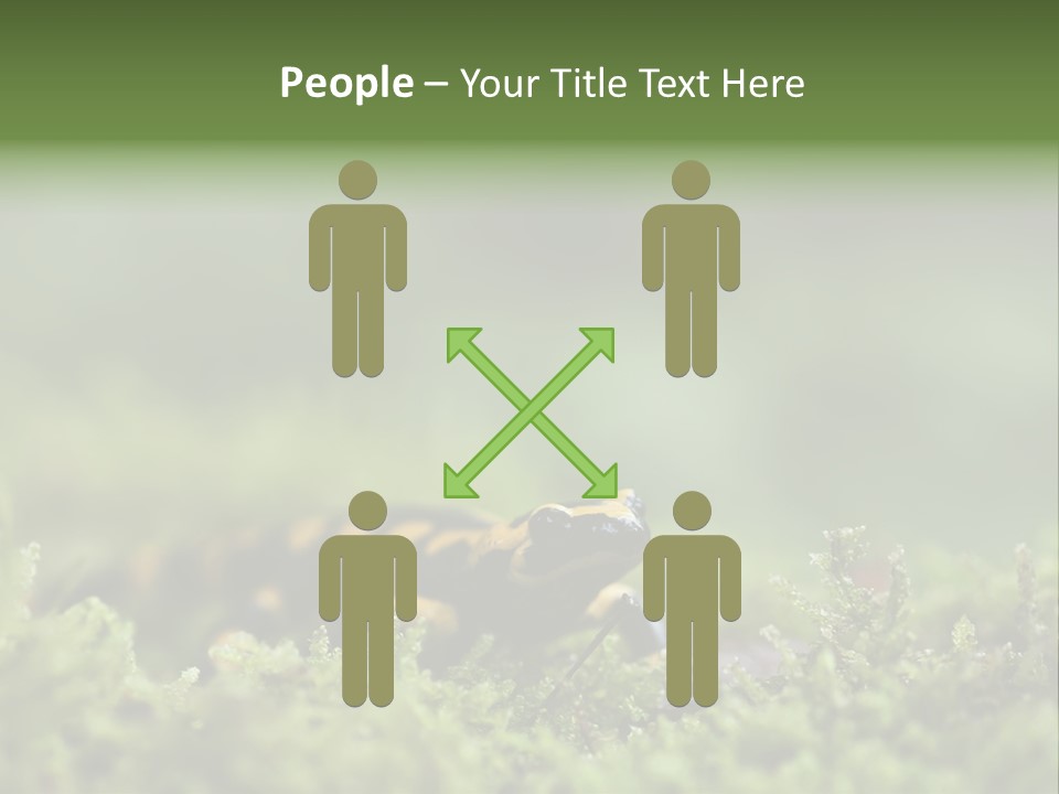 Green Grass Nature Foam PowerPoint Template