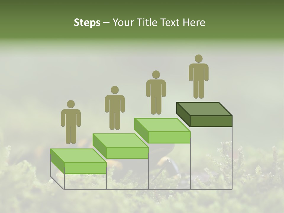 Green Grass Nature Foam PowerPoint Template