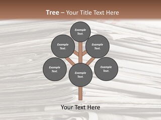 Publication Waste Collection PowerPoint Template