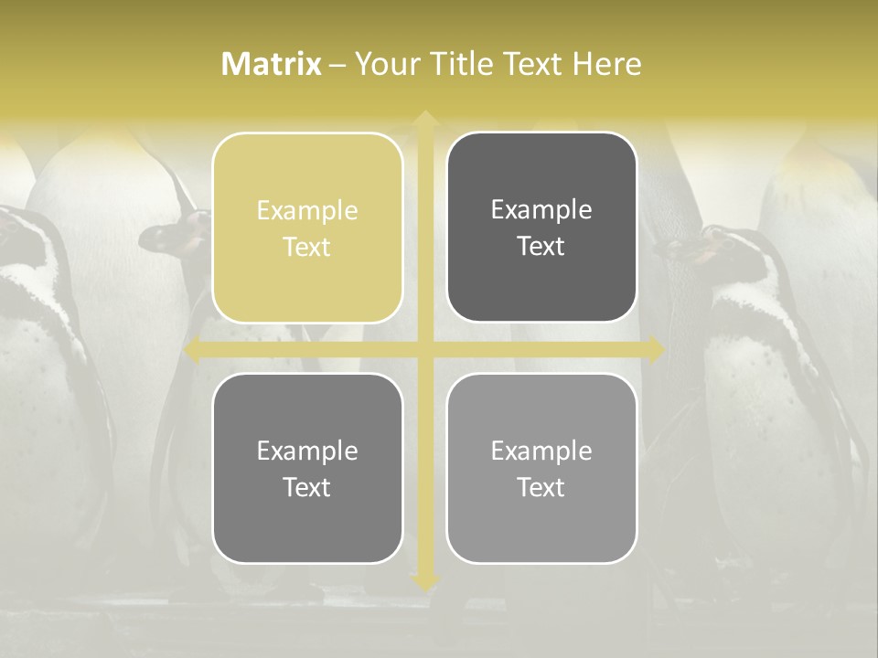 Penguins Emperor Penguins Huddle PowerPoint Template