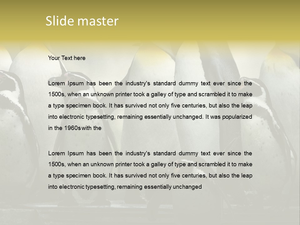 Penguins Emperor Penguins Huddle PowerPoint Template