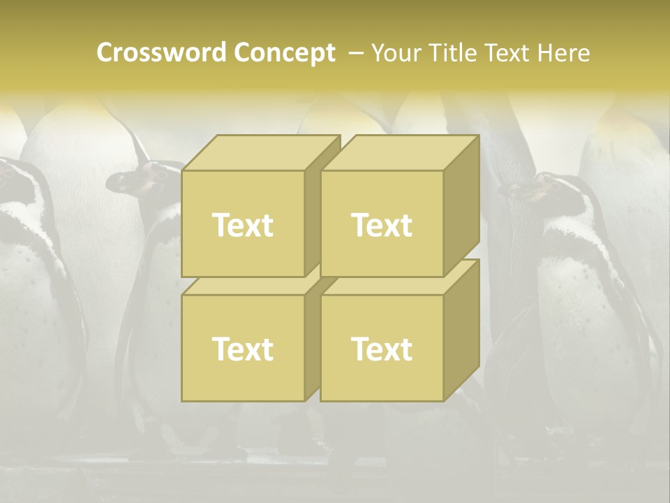 Penguins Emperor Penguins Huddle PowerPoint Template