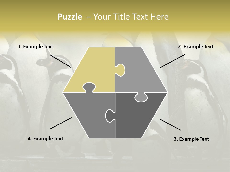 Penguins Emperor Penguins Huddle PowerPoint Template