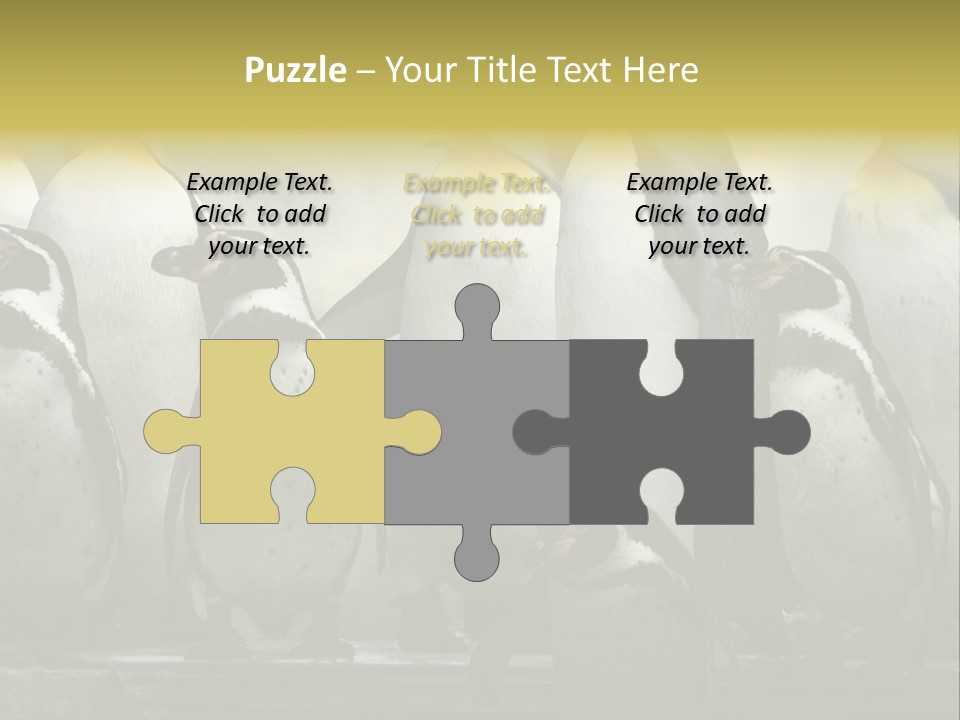 Penguins Emperor Penguins Huddle PowerPoint Template