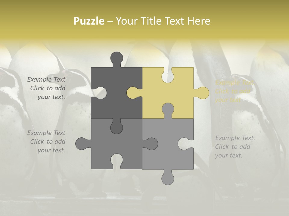 Penguins Emperor Penguins Huddle PowerPoint Template