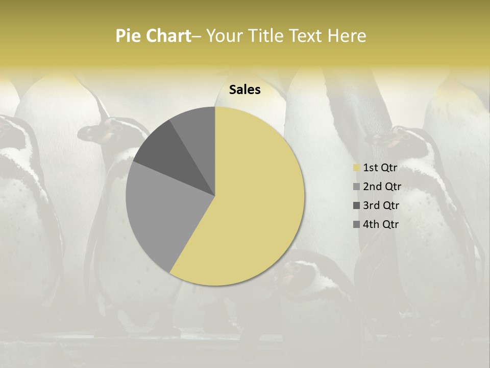 Penguins Emperor Penguins Huddle PowerPoint Template