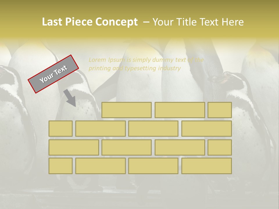 Penguins Emperor Penguins Huddle PowerPoint Template