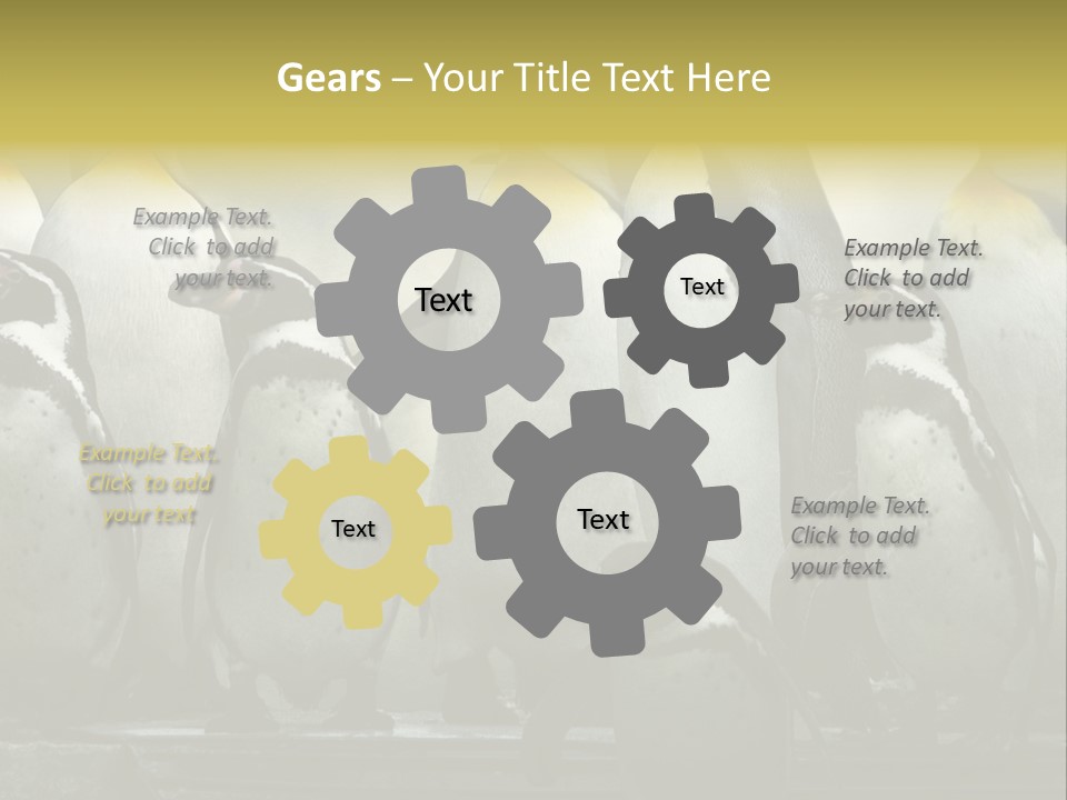 Penguins Emperor Penguins Huddle PowerPoint Template