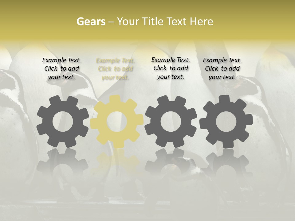 Penguins Emperor Penguins Huddle PowerPoint Template