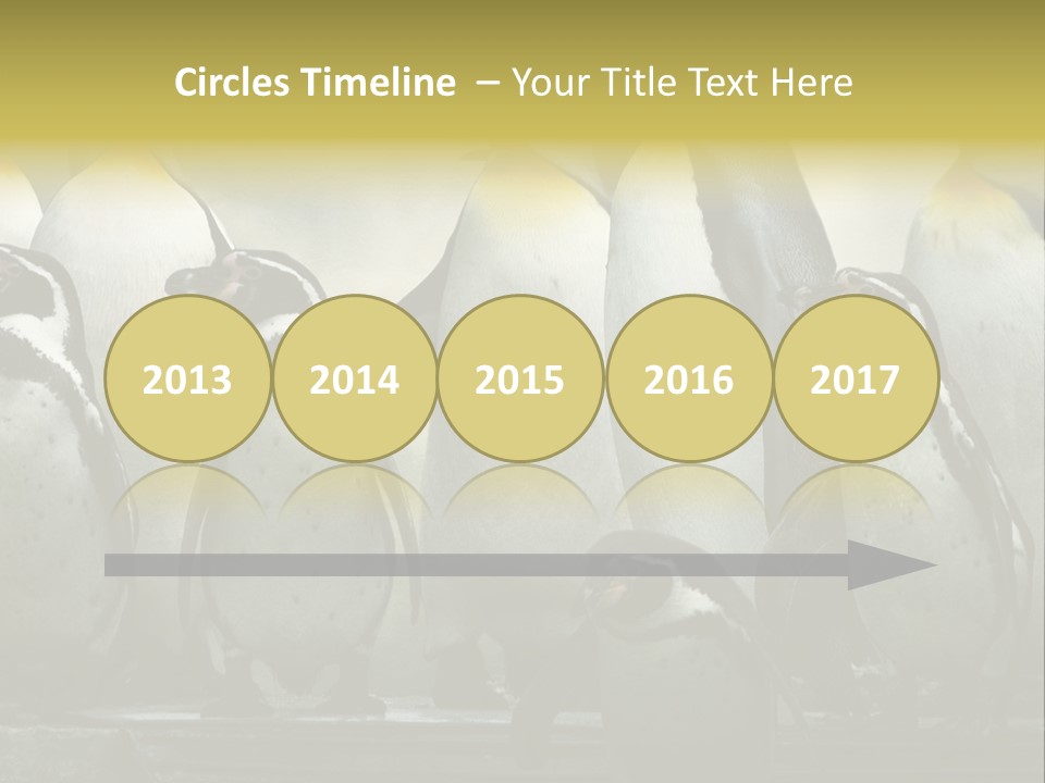 Penguins Emperor Penguins Huddle PowerPoint Template