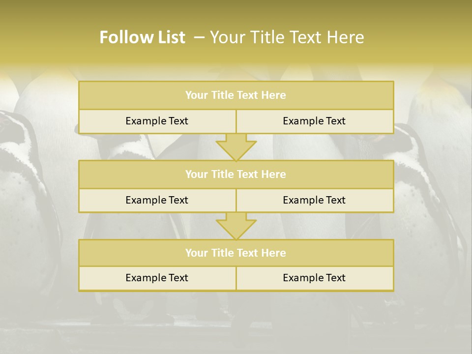 Penguins Emperor Penguins Huddle PowerPoint Template