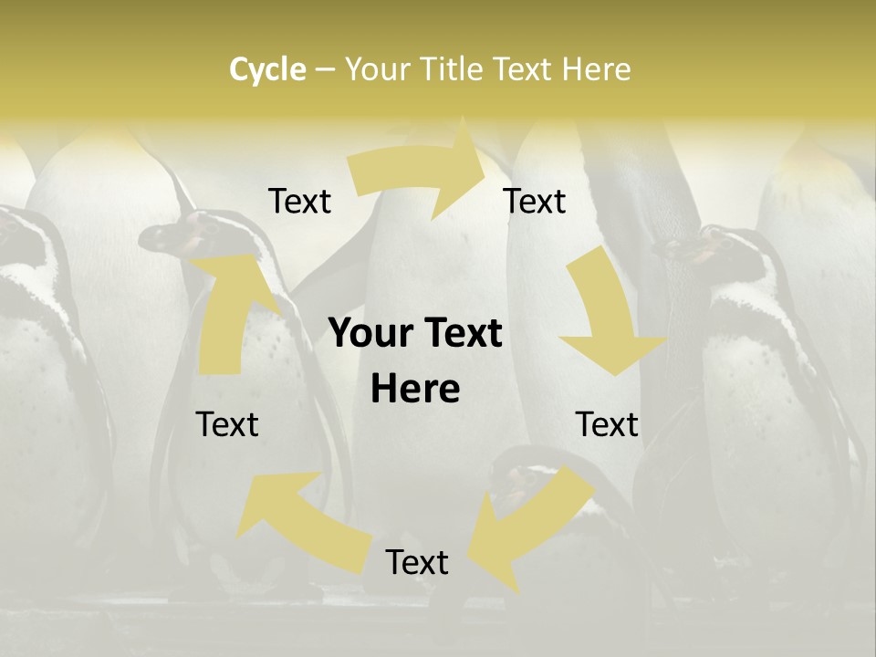 Penguins Emperor Penguins Huddle PowerPoint Template