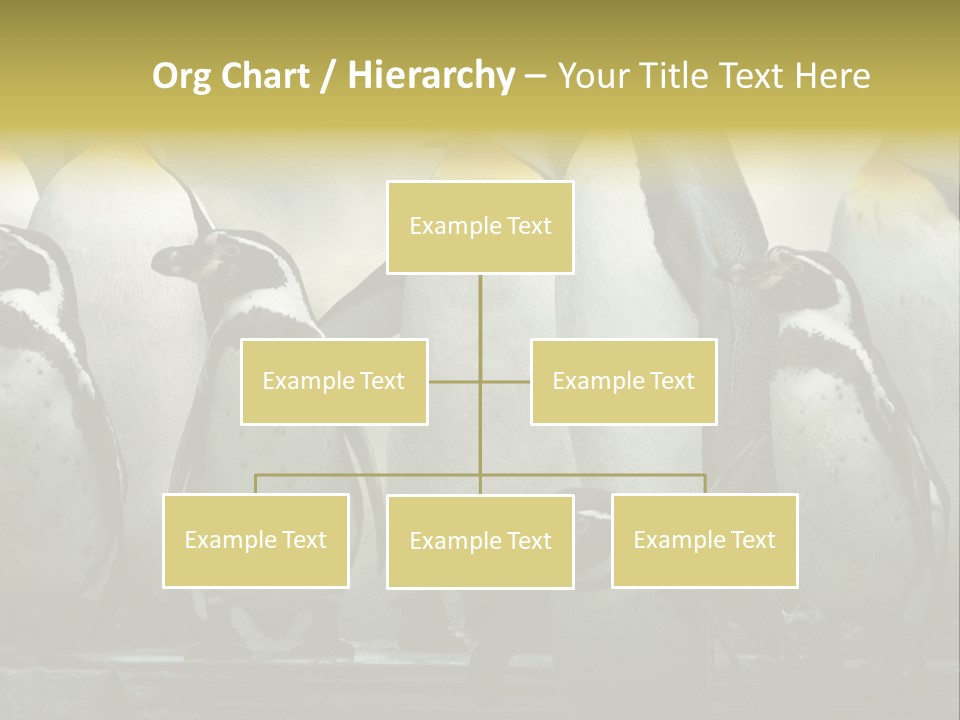 Penguins Emperor Penguins Huddle PowerPoint Template