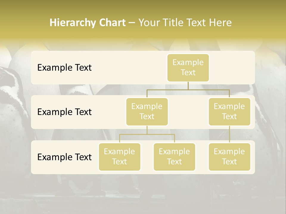 Penguins Emperor Penguins Huddle PowerPoint Template