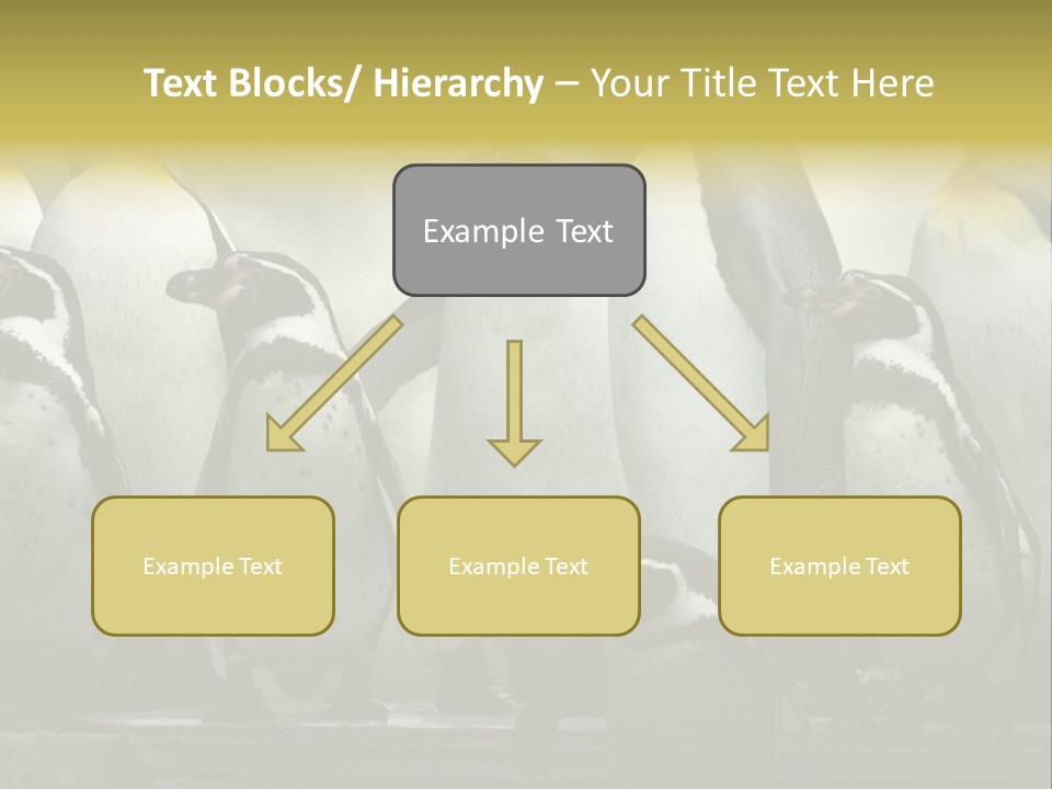Penguins Emperor Penguins Huddle PowerPoint Template