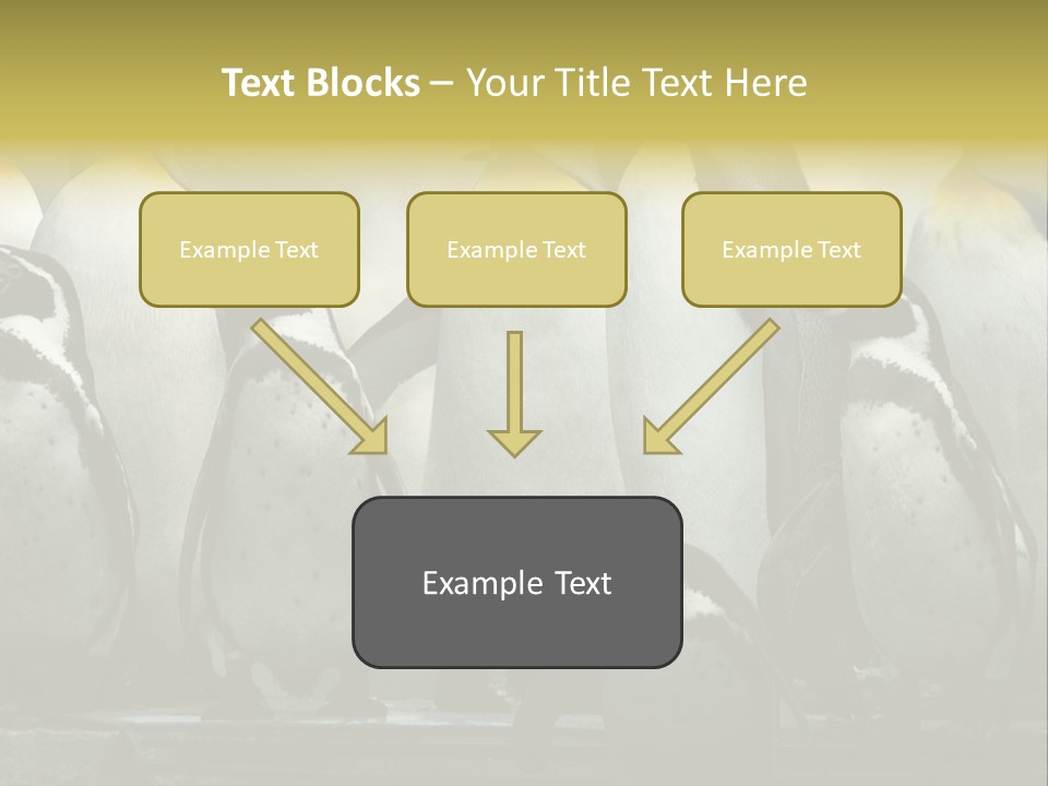 Penguins Emperor Penguins Huddle PowerPoint Template