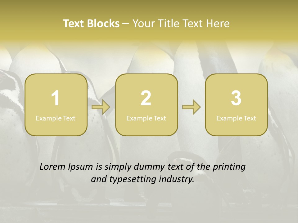 Penguins Emperor Penguins Huddle PowerPoint Template