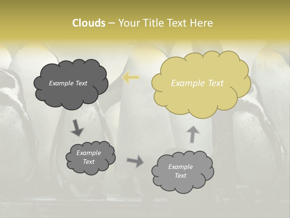 Penguins Emperor Penguins Huddle PowerPoint Template