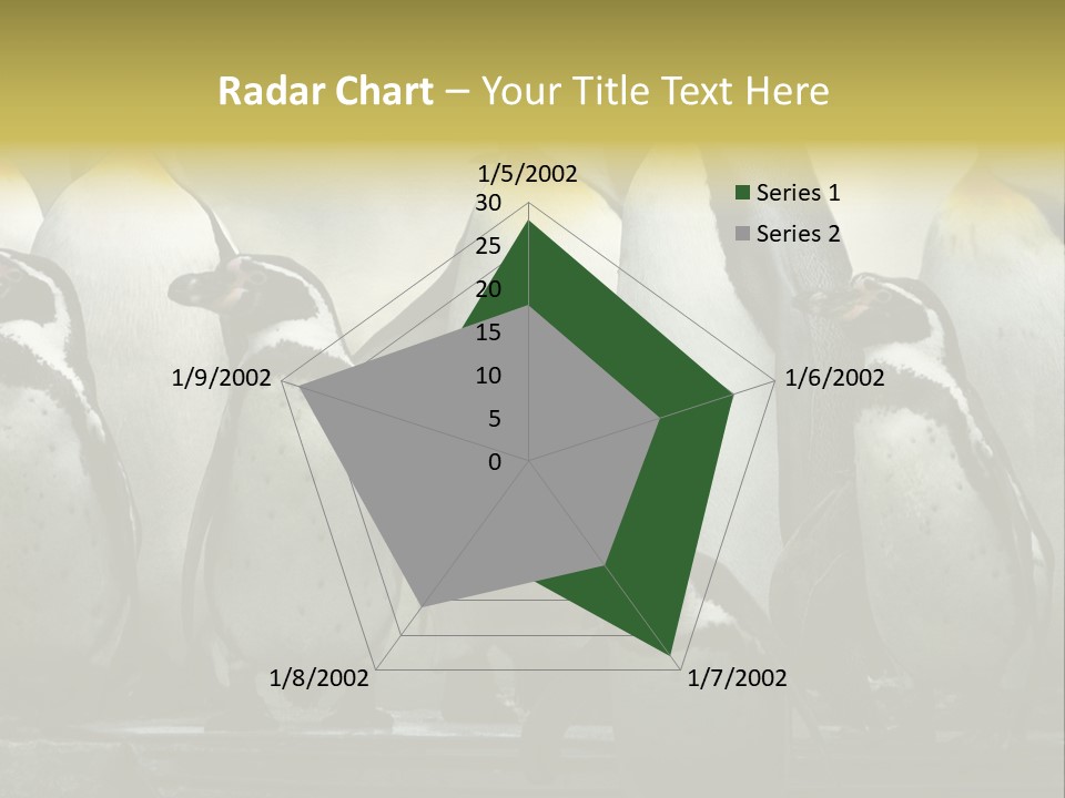 Penguins Emperor Penguins Huddle PowerPoint Template