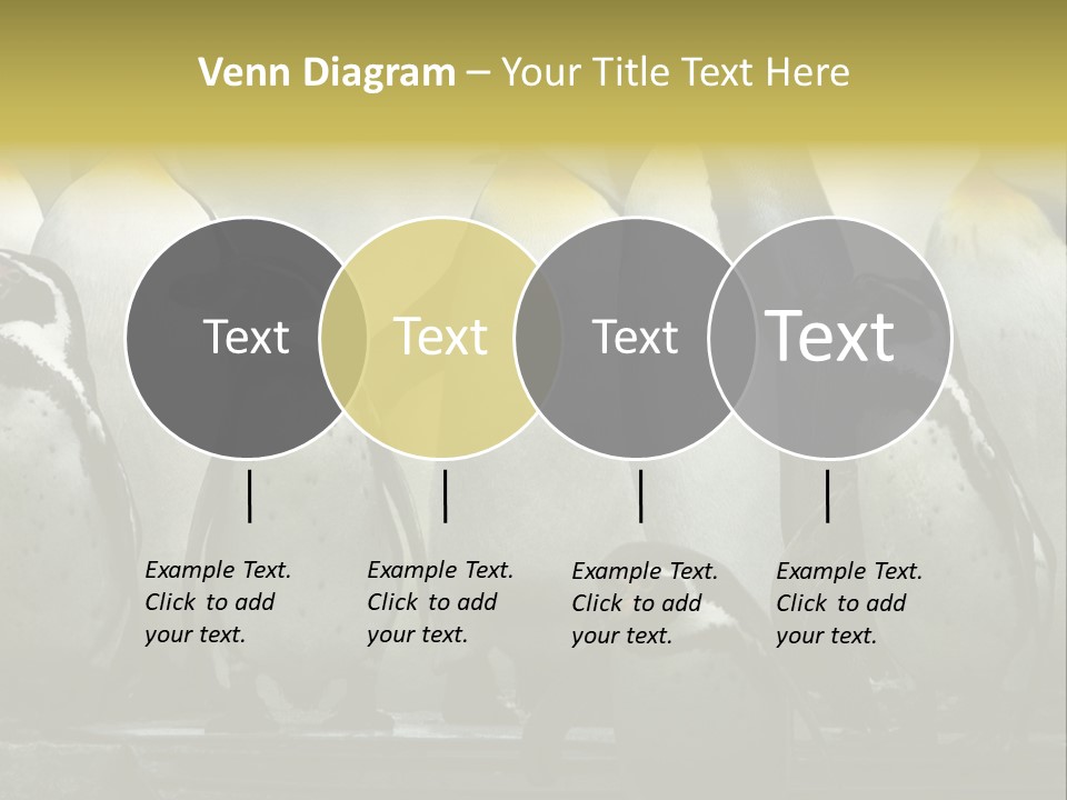 Penguins Emperor Penguins Huddle PowerPoint Template