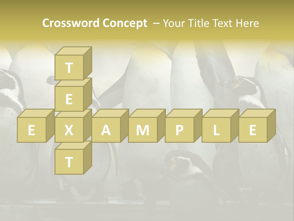 Penguins Emperor Penguins Huddle PowerPoint Template