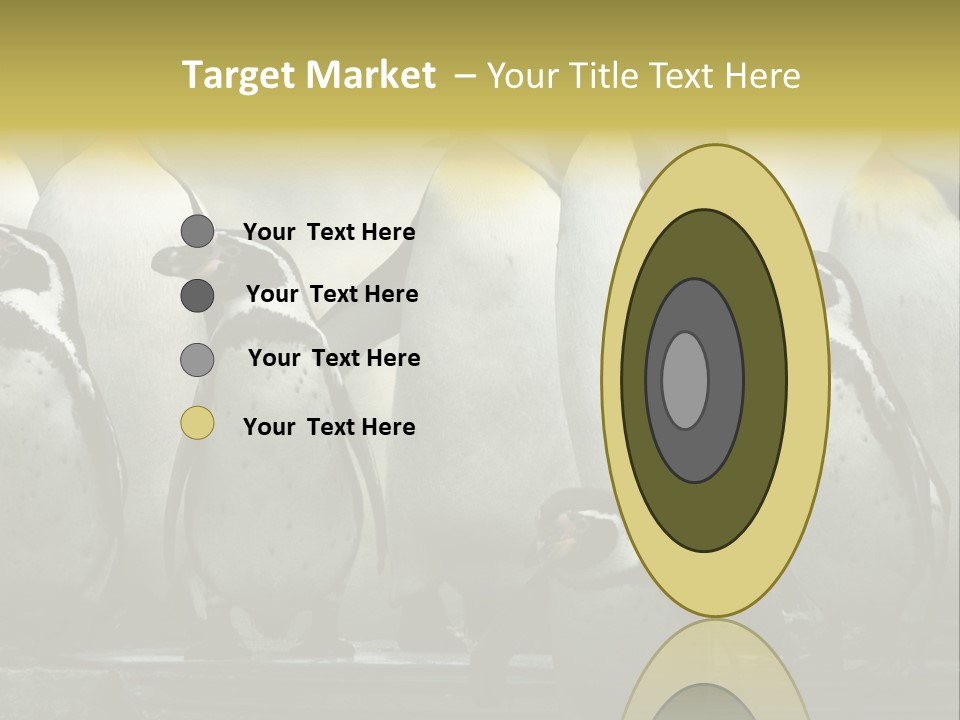 Penguins Emperor Penguins Huddle PowerPoint Template