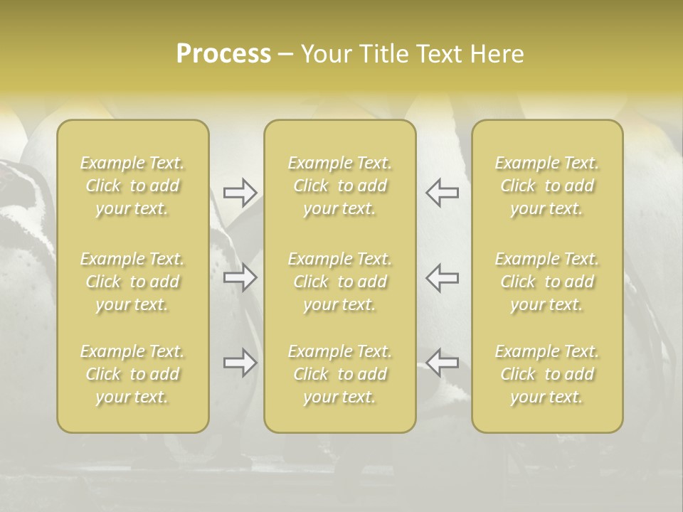 Penguins Emperor Penguins Huddle PowerPoint Template