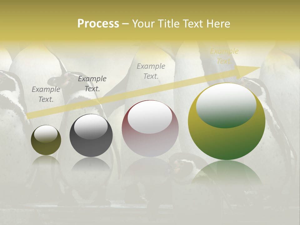 Penguins Emperor Penguins Huddle PowerPoint Template