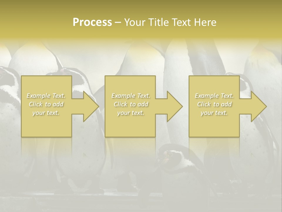 Penguins Emperor Penguins Huddle PowerPoint Template