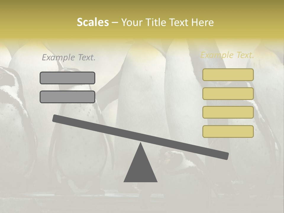Penguins Emperor Penguins Huddle PowerPoint Template