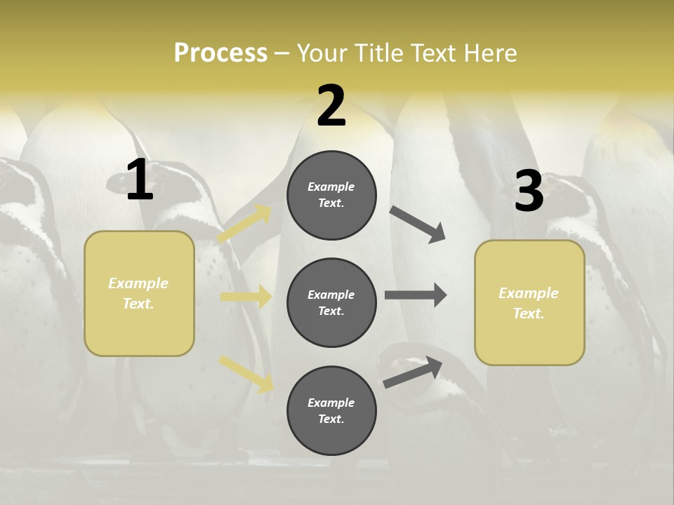 Penguins Emperor Penguins Huddle PowerPoint Template