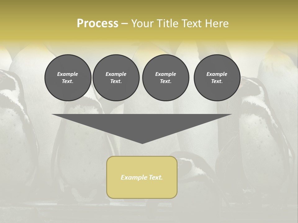 Penguins Emperor Penguins Huddle PowerPoint Template