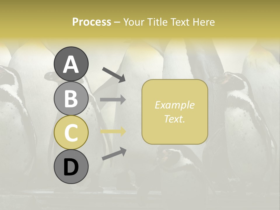Penguins Emperor Penguins Huddle PowerPoint Template