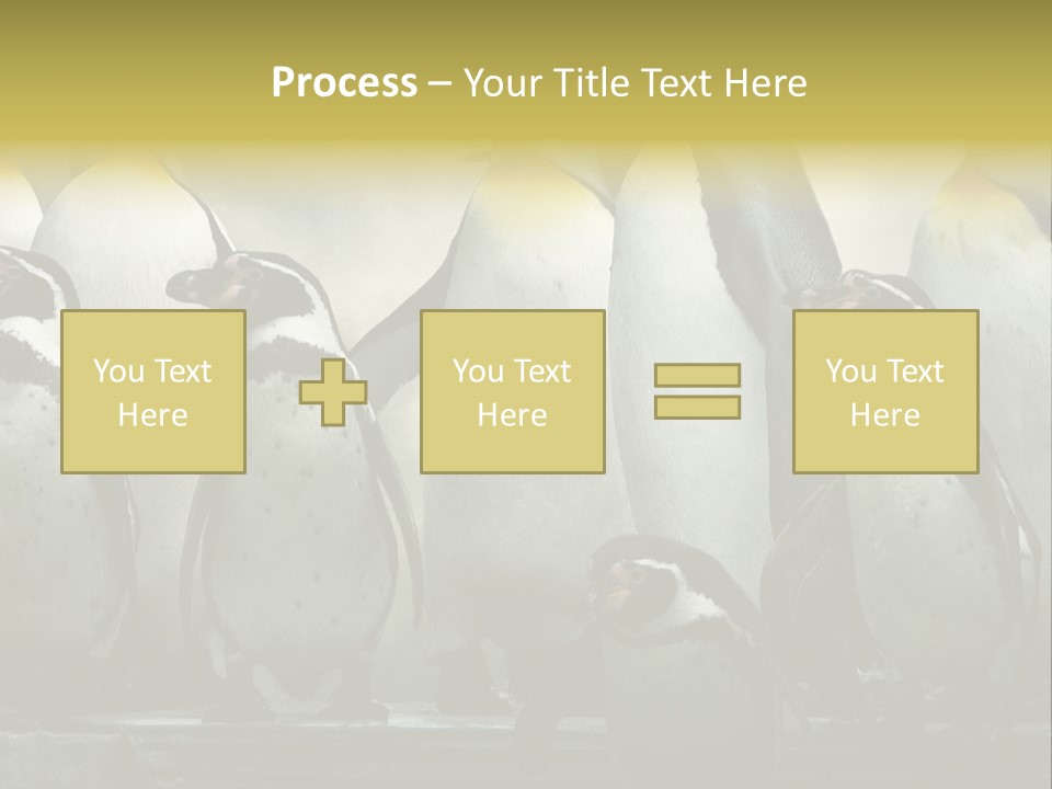 Penguins Emperor Penguins Huddle PowerPoint Template