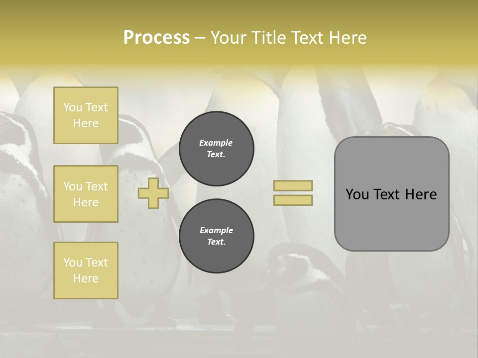 Penguins Emperor Penguins Huddle PowerPoint Template