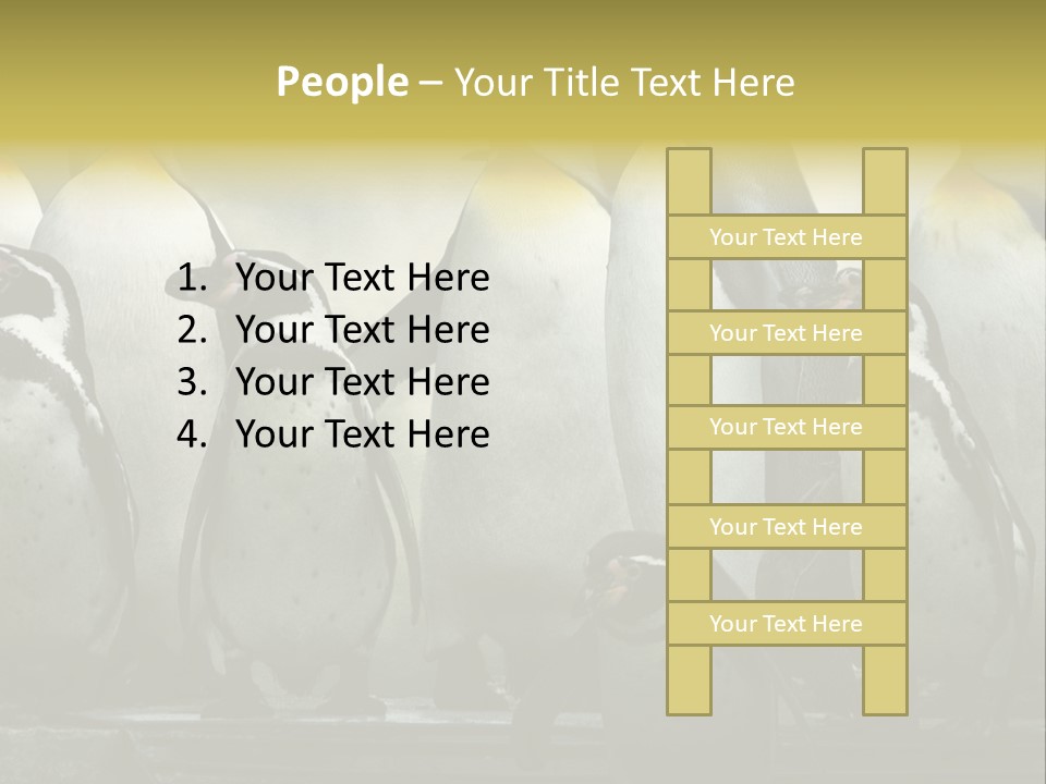 Penguins Emperor Penguins Huddle PowerPoint Template