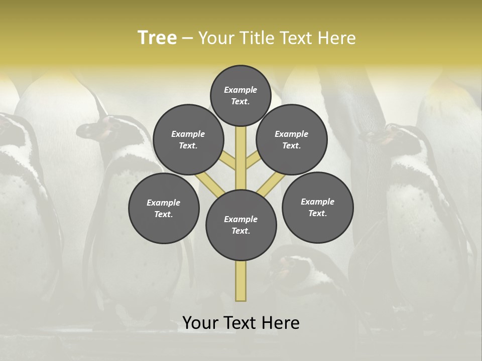 Penguins Emperor Penguins Huddle PowerPoint Template