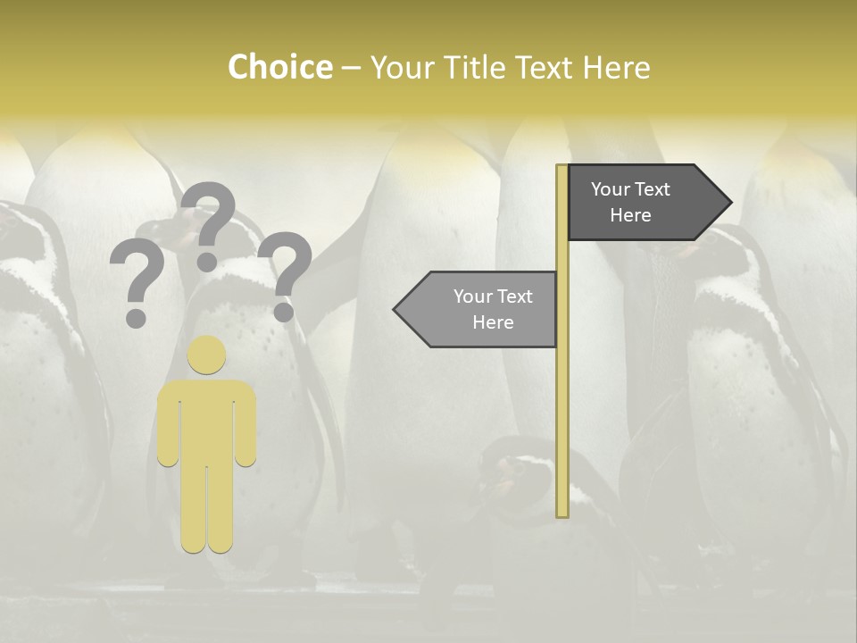 Penguins Emperor Penguins Huddle PowerPoint Template